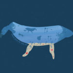 Whale from the deep sea